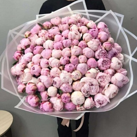 Пион Сара Бернар №167