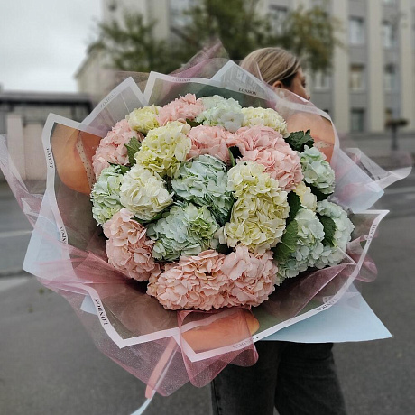 Микс гортензий, 25 штук в дизайнерской упаковке - Фото 2