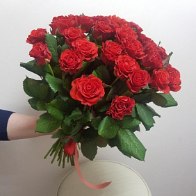 Розы Эллторо 35