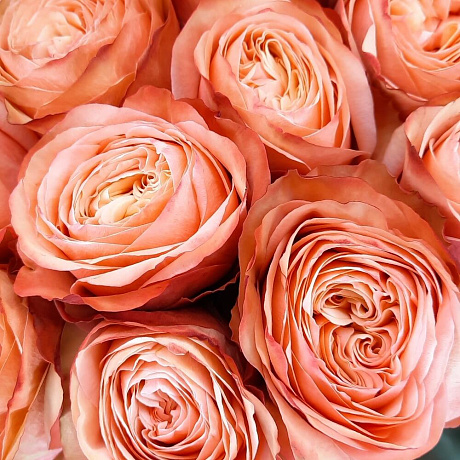 Букет цветов Кахала №160 - Фото 5