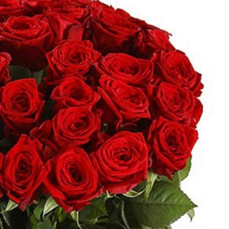 Букет 35 бордовых роз 70 см - Фото 5
