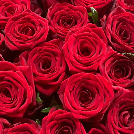 Красный роза - Фото 5