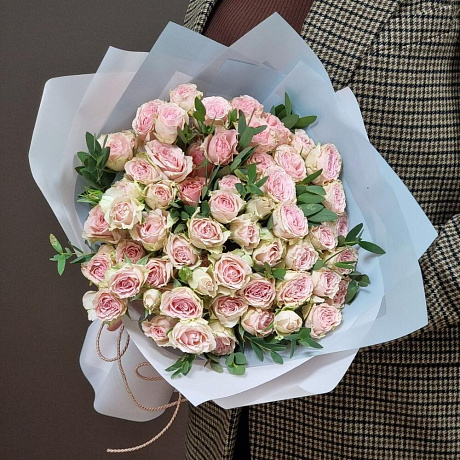 Роза кустовая Baby Folies - Фото 3