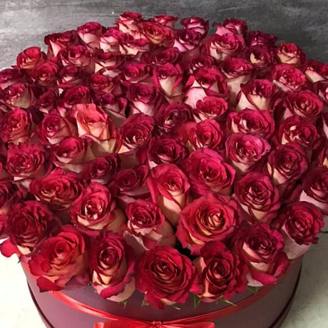 Эквадор роза в коробке - Фото 2