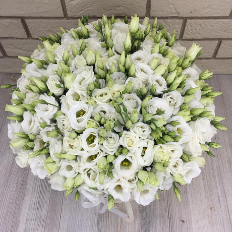 61 эустома в бархатной коробке - Фото 5