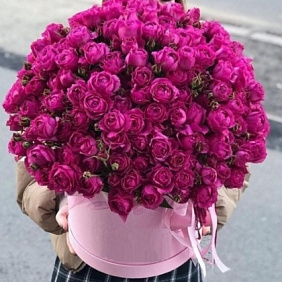 Коробка из 71 кустовых пионовидных роз