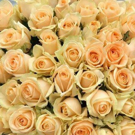 Букет оранжевых роз №160 - Фото 4