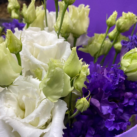 Букет из 7 Лизиантусов - Фото 5