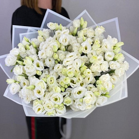 Белая Эустома сортовая