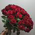 Шикарная эквадорская роза  35 шт - Фото 1