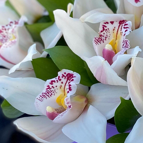 Композиции из орхидей - Фото 6