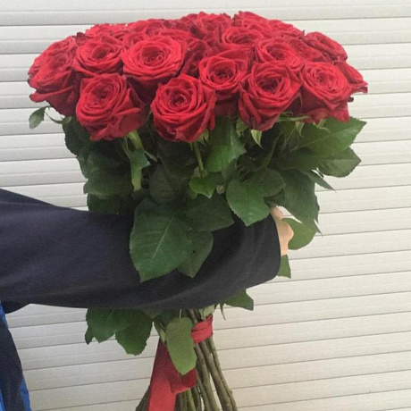 Ред найоми 70см - Фото 3