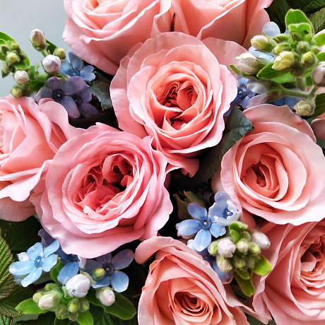 Букет цветов Morning blush - Фото 2