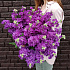 Букет из глубоко пурпурной маттиолы - Фото 2