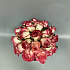 19 роз Джумилия в белой коробке - Фото 5