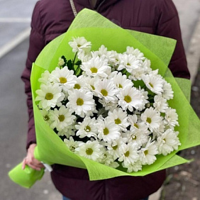 Букет из 9 белых кустовых хризантем №2