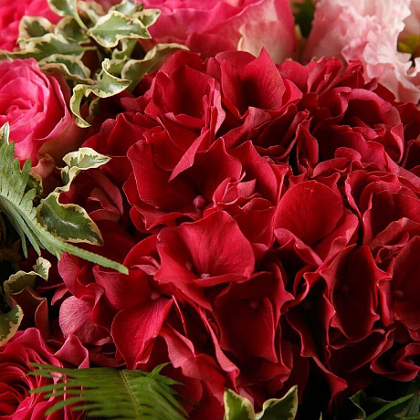 Букет цветов Protea miss - Фото 3