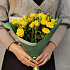 Букет Лимончелло 5 из желтых кустовых роз - Фото 2