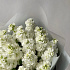 Букет цветов Ароматная маттиола №160 - Фото 3