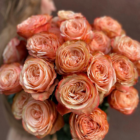 Пионовидная роза Кахала с эвкалиптом - Фото 2