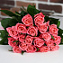 Розы. Букет из 19 коралловых роз. N660 - Фото 2