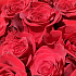 Гигантские розы - Фото 10