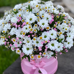 Букет "Ромашки" №197