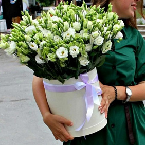 Эустома в коробке 31