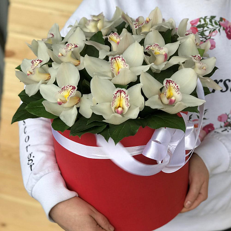 Коробки с цветами. Орхидея. Цимбидиум. N466 - Фото 5