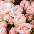 Букет из 19 нежно-розовых пионовидных кустовых роз - Фото 4
