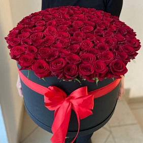 Коробка красных роз(XXL