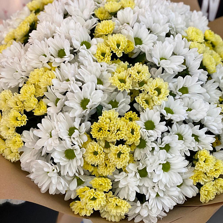 Большой Букет из хризантем - Фото 2