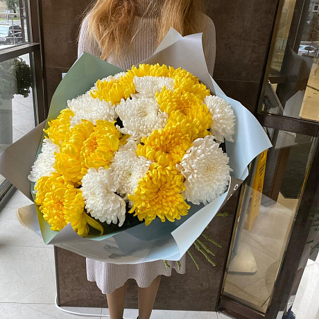 Крымская Хризантема 21 шт - Фото 3