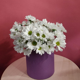 Букет "Ромашки" №207