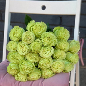 Монобукет 25 Зелёных роз 60см