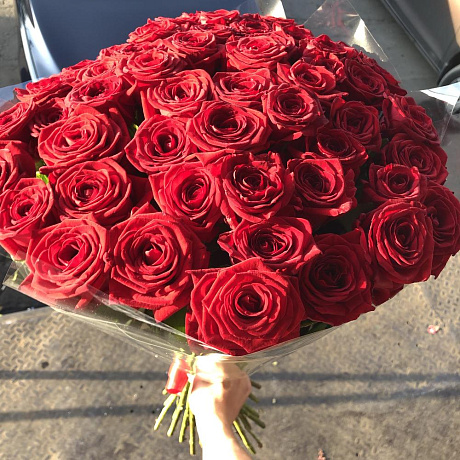 51 красная роза (Голландия 70см) - Фото 2