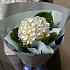 Букет цветов Очаровательная гортензия - Фото 1