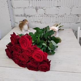 Бархатные Розы 15