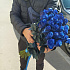 25 синяя роза  Premium - Фото 3
