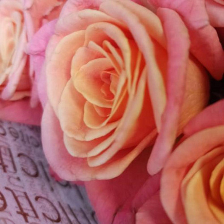 Нежный букет из 101 розы - Фото 4