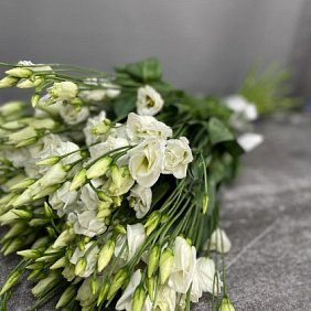 Эустомо Белая