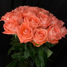 25 роз длинных