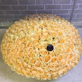 Корзина из 301 розы №160