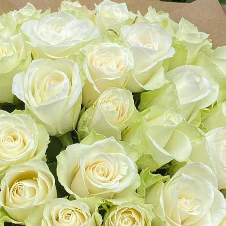 Букет из 35 роз микс №161 - Фото 6