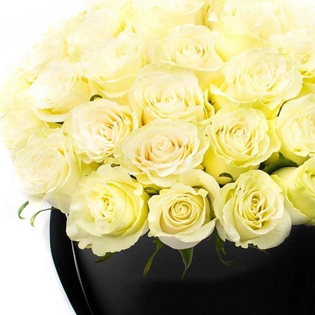 LUXURY!51 белая роза в шляпной коробке - Фото 2