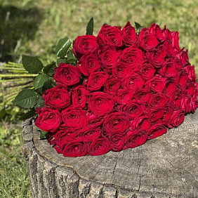 Букет из 51 розы №162