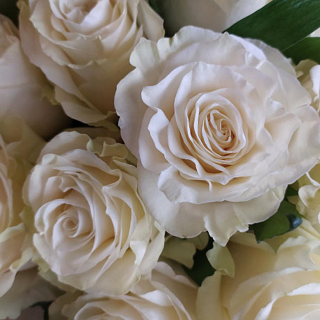 Букет из роз Мондиаль №162 - Фото 5