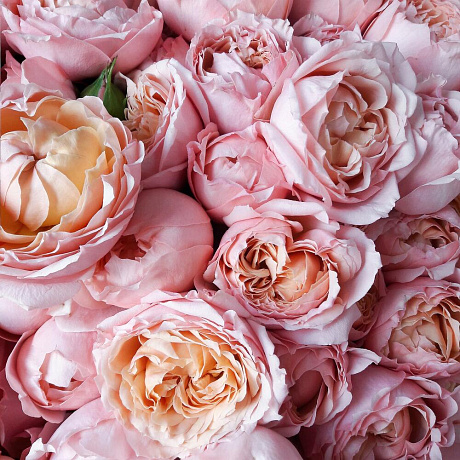 39 кустовых роз Джульетта в бежевом крафте - Фото 3