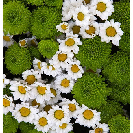 Букет Болеро - Фото 2