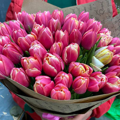 Тюльпаны пионавидные - Фото 3